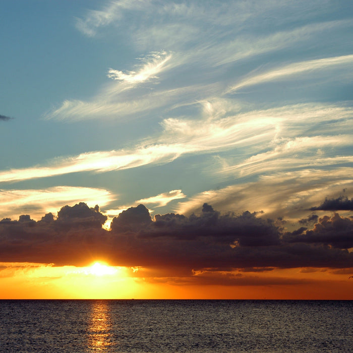 Slow Beauty – The New Lifestyle Movement