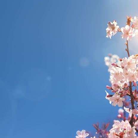 7 Ways to Ease Yourself into Spring