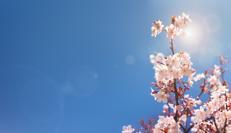 7 Ways to Ease Yourself into Spring