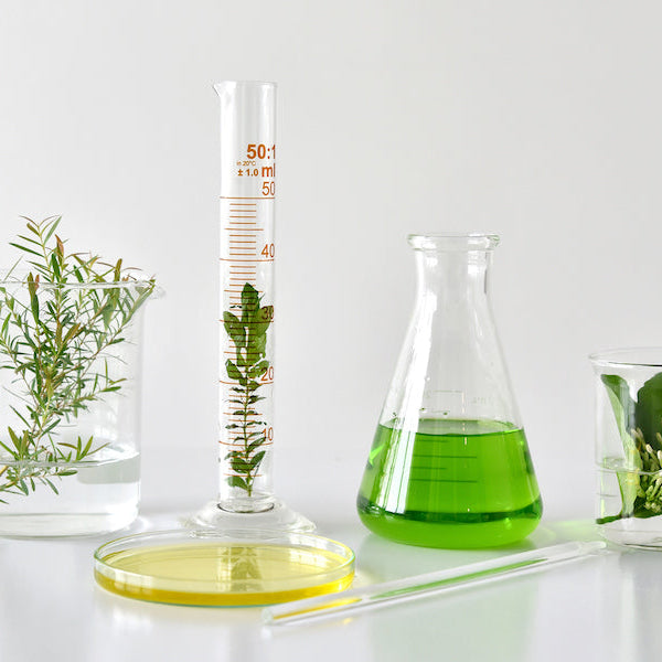 How to Avoid Greenwashing in the Beauty Industry