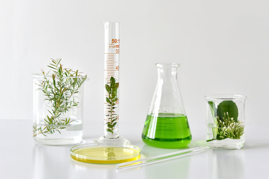 How to Avoid Greenwashing in the Beauty Industry