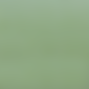 ZAO Makeup - Organic Concealer - Glow Organic